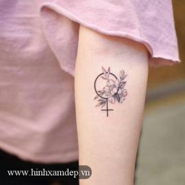 Trung tâm nối mi volume hàn quốc