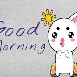 Chào tất cả mọi người!